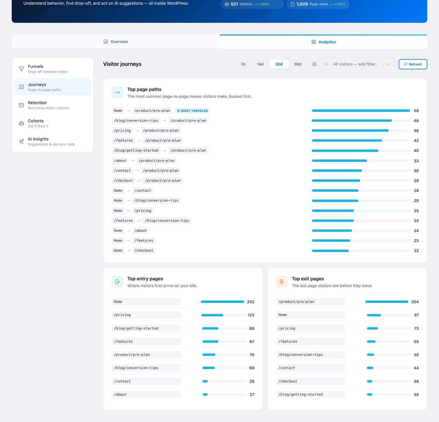 Antimanual Visitor Journeys report with top page paths, entry pages and exit pages